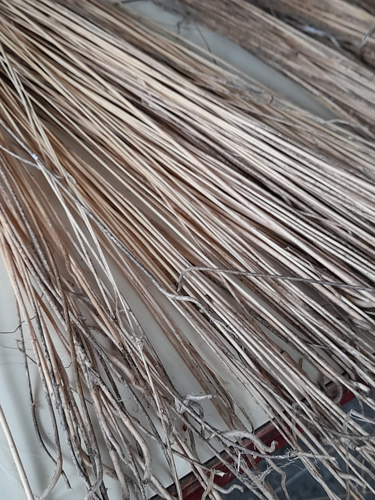 Egon Heger Euskal Herrian